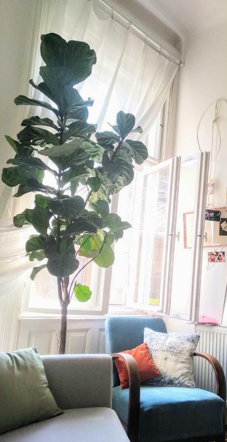 Jolie Apartment In Historical Center Budapeşte Dış mekan fotoğraf