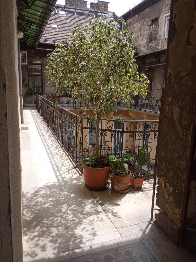 Jolie Apartment In Historical Center Budapeşte Dış mekan fotoğraf
